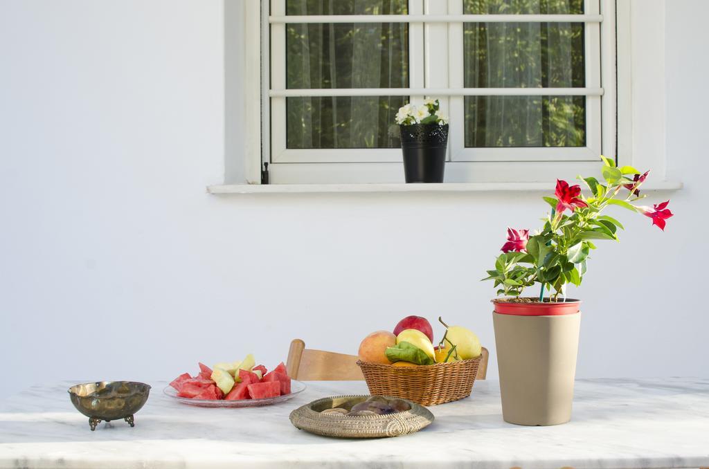 Garden House Palaio Faliro Athene Buitenkant foto